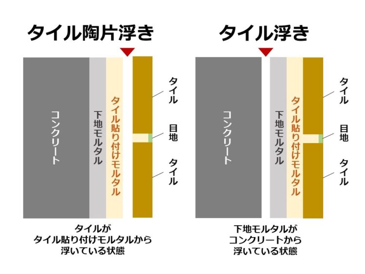 タイル　陶片浮きと下地モルタル浮きの写真